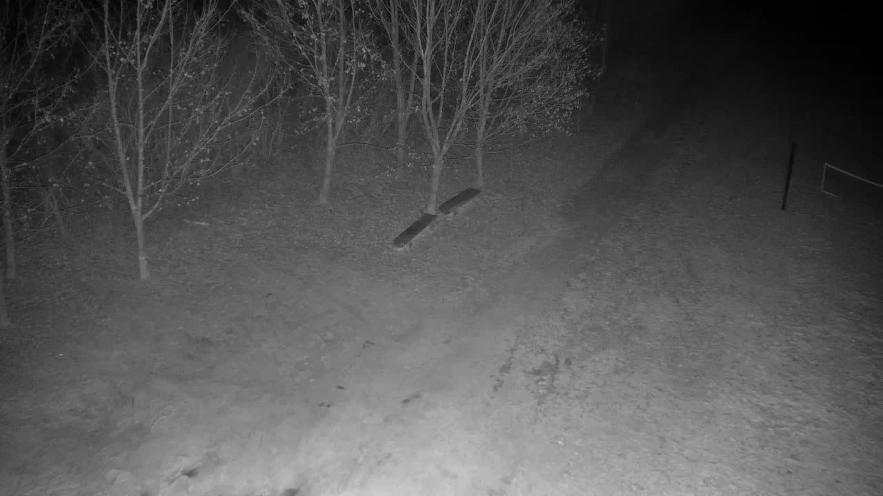 Webcam Ribnik Vrbje – Žalec