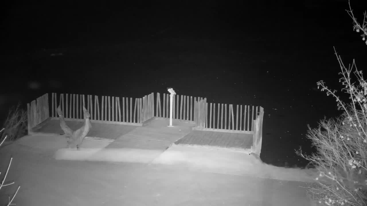 Webcam Ribnik Vrbje – Žalec