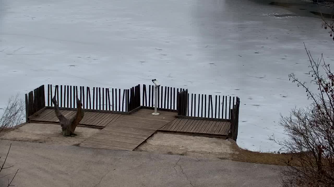 Webcam Ribnik Vrbje – Žalec