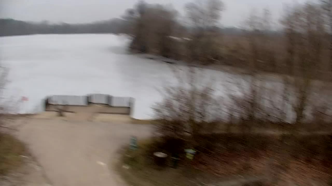 Webcam Ribnik Vrbje – Žalec