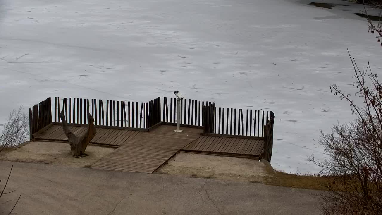 Webcam Ribnik Vrbje – Žalec