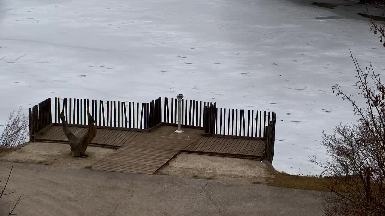 Webcam Ribnik Vrbje – Žalec