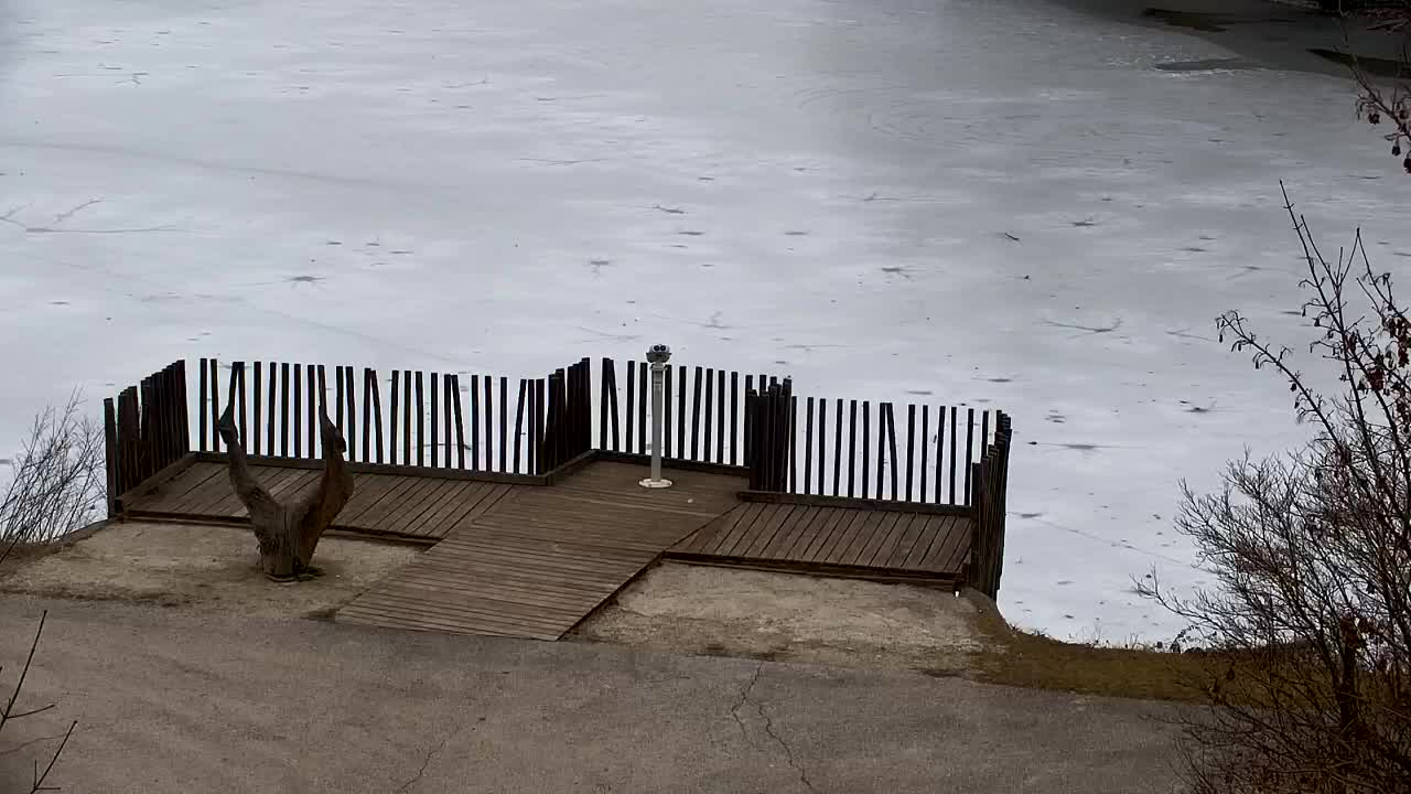 Webcam Ribnik Vrbje – Žalec