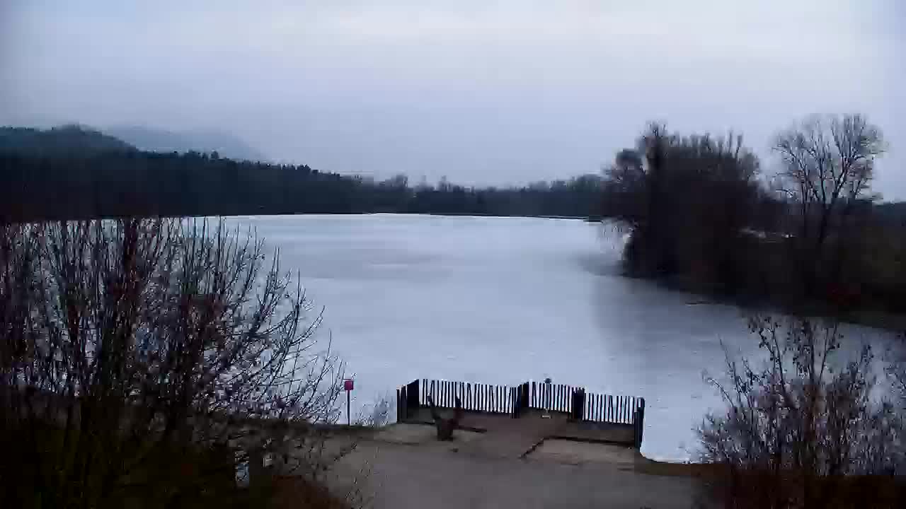 Spletna kamera Ribnik Vrbje – Žalec