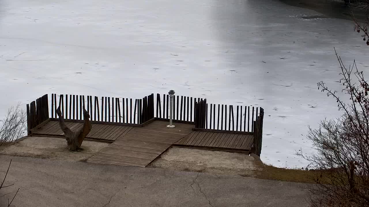 Webcam Ribnik Vrbje – Žalec