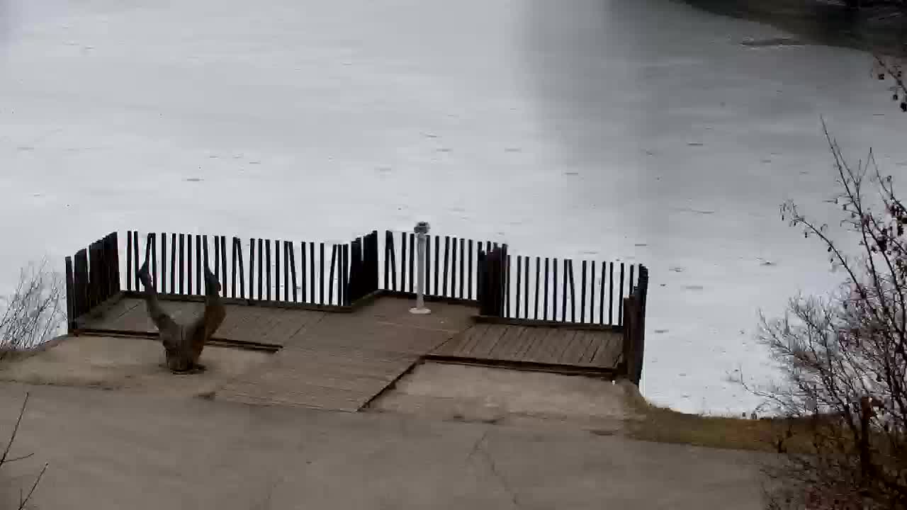 Spletna kamera Ribnik Vrbje – Žalec