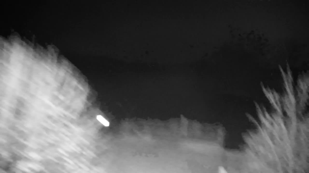 Webcam Ribnik Vrbje – Žalec