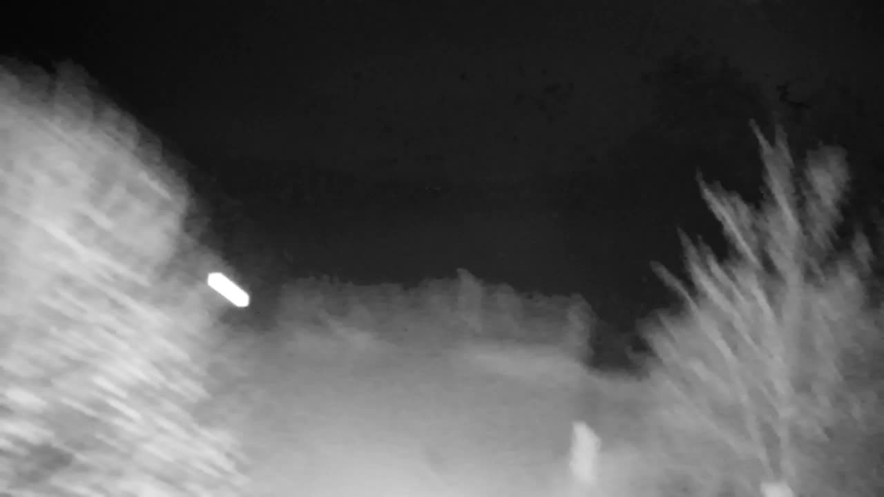 Spletna kamera Ribnik Vrbje – Žalec