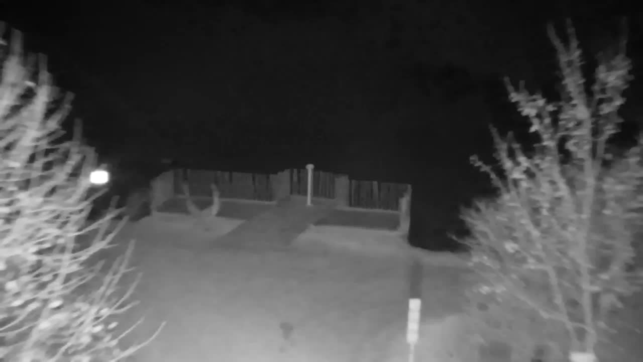 Webcam Ribnik Vrbje – Žalec