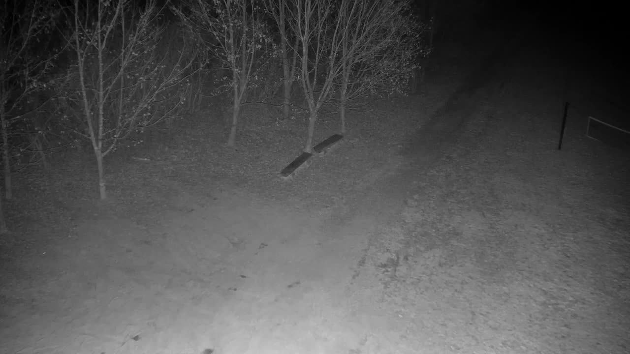 Webcam Ribnik Vrbje – Žalec