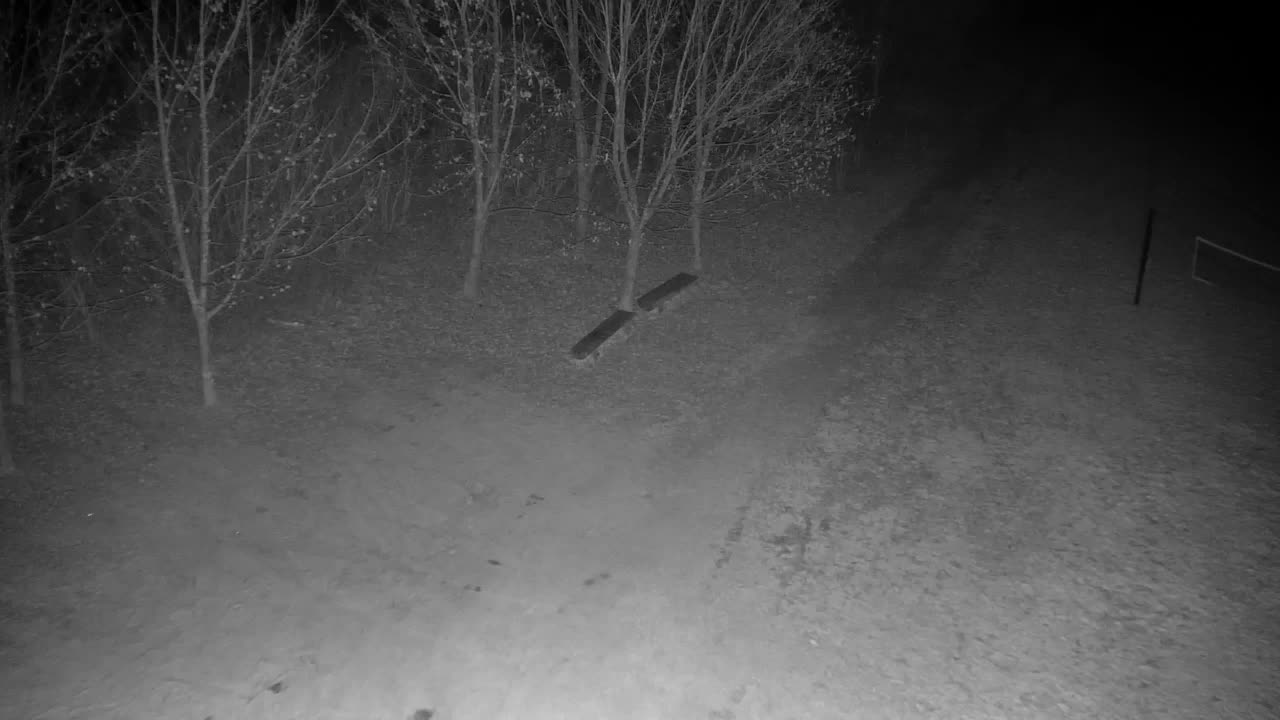 Webcam Ribnik Vrbje – Žalec