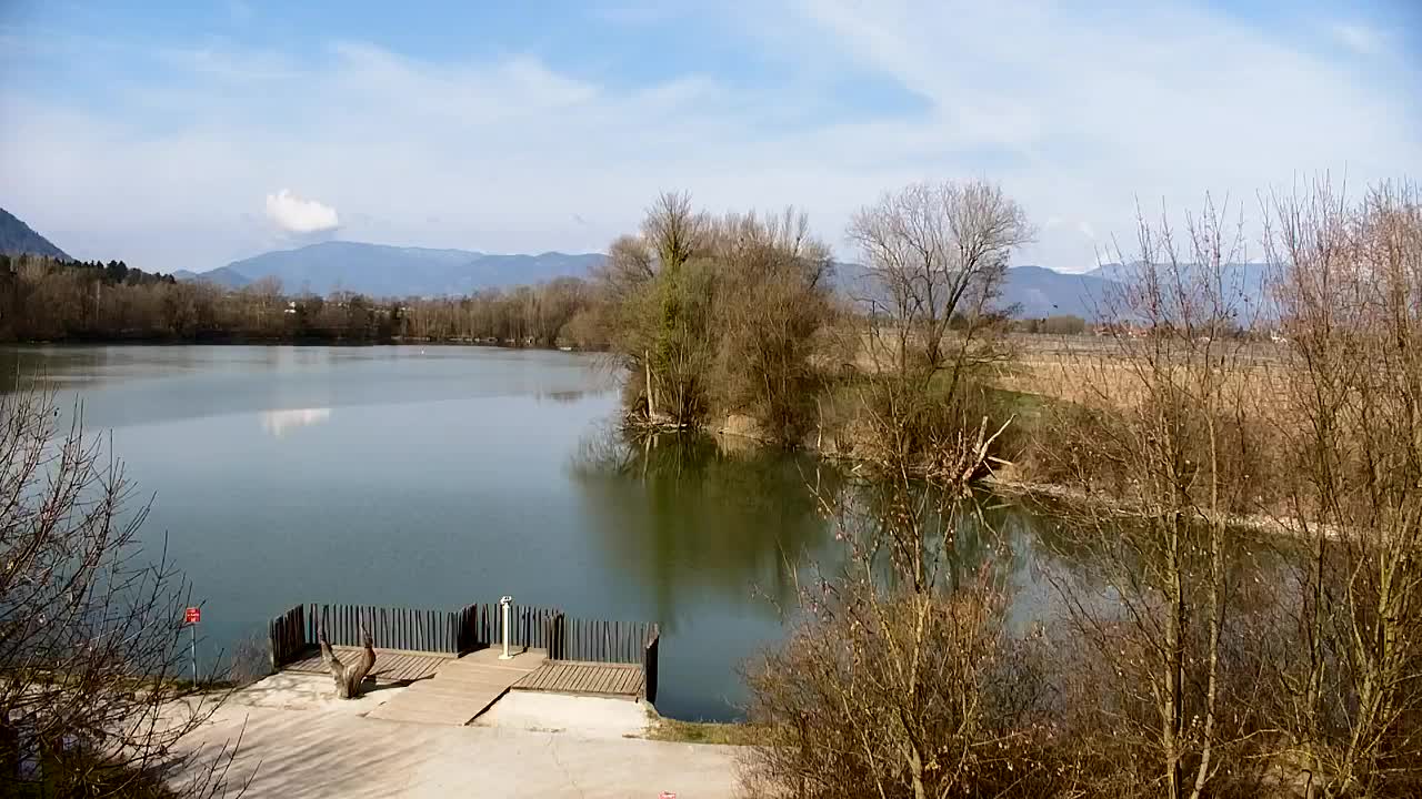 Webcam Ribnik Vrbje – Žalec