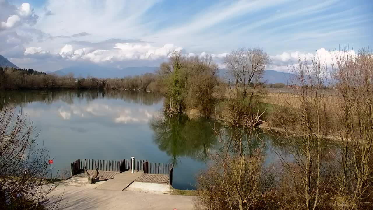 Webcam Ribnik Vrbje – Žalec