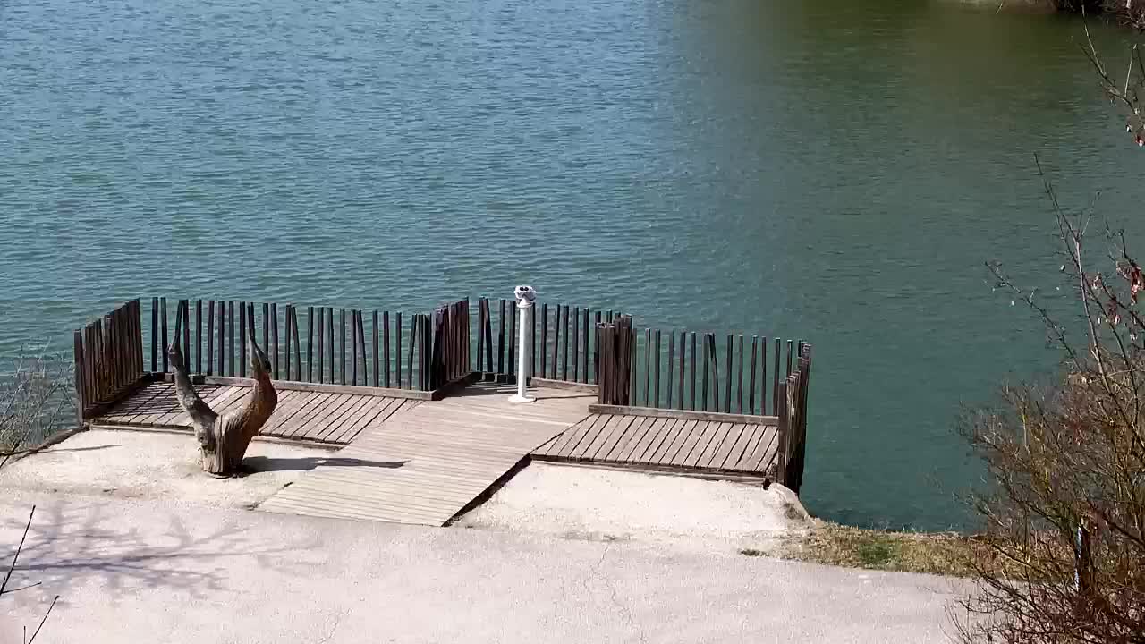 Webcam Ribnik Vrbje – Žalec