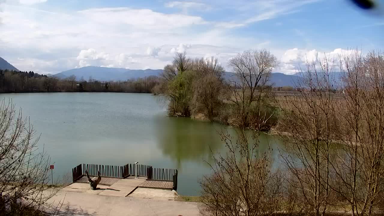 Webcam Ribnik Vrbje – Žalec