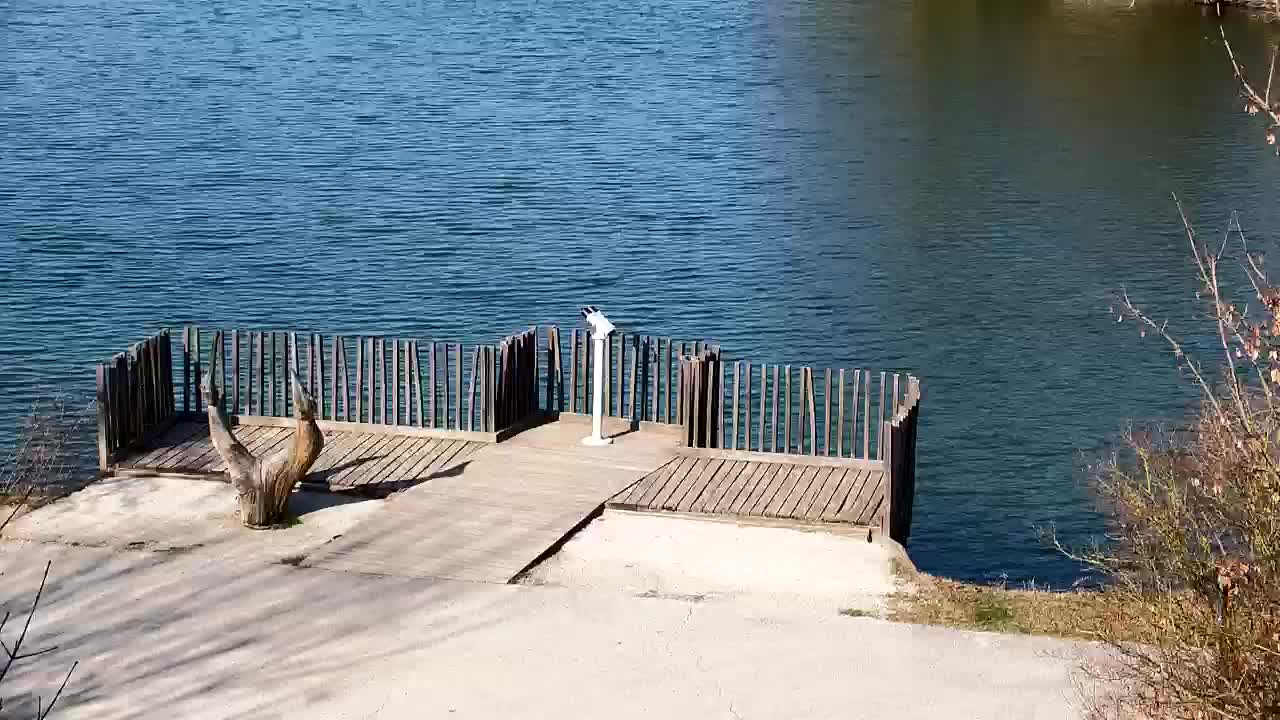 Webcam Ribnik Vrbje – Žalec