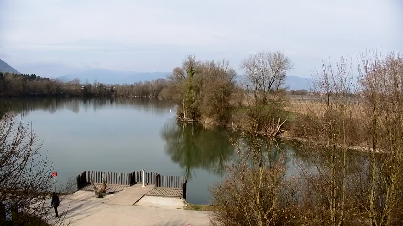 Webcam Ribnik Vrbje – Žalec