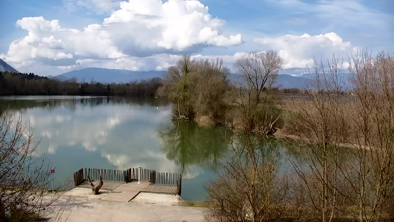 Spletna kamera Ribnik Vrbje – Žalec