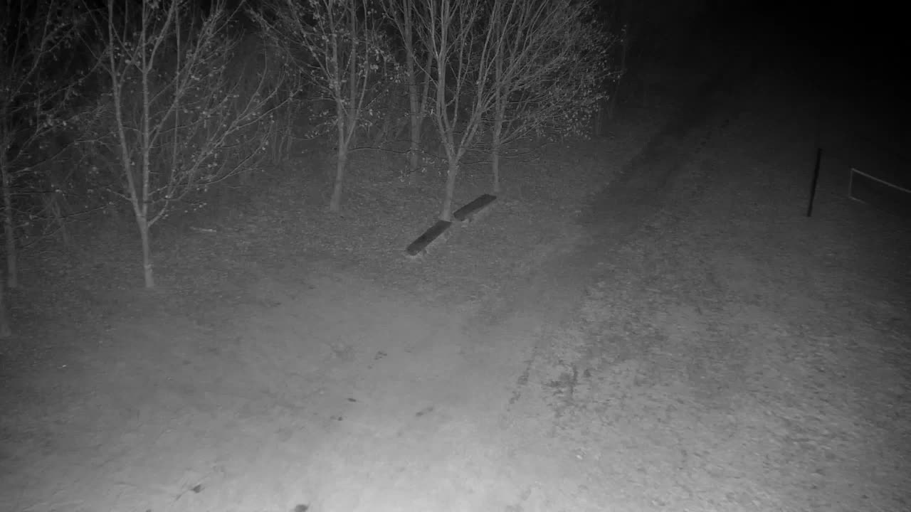 Webcam Ribnik Vrbje – Žalec