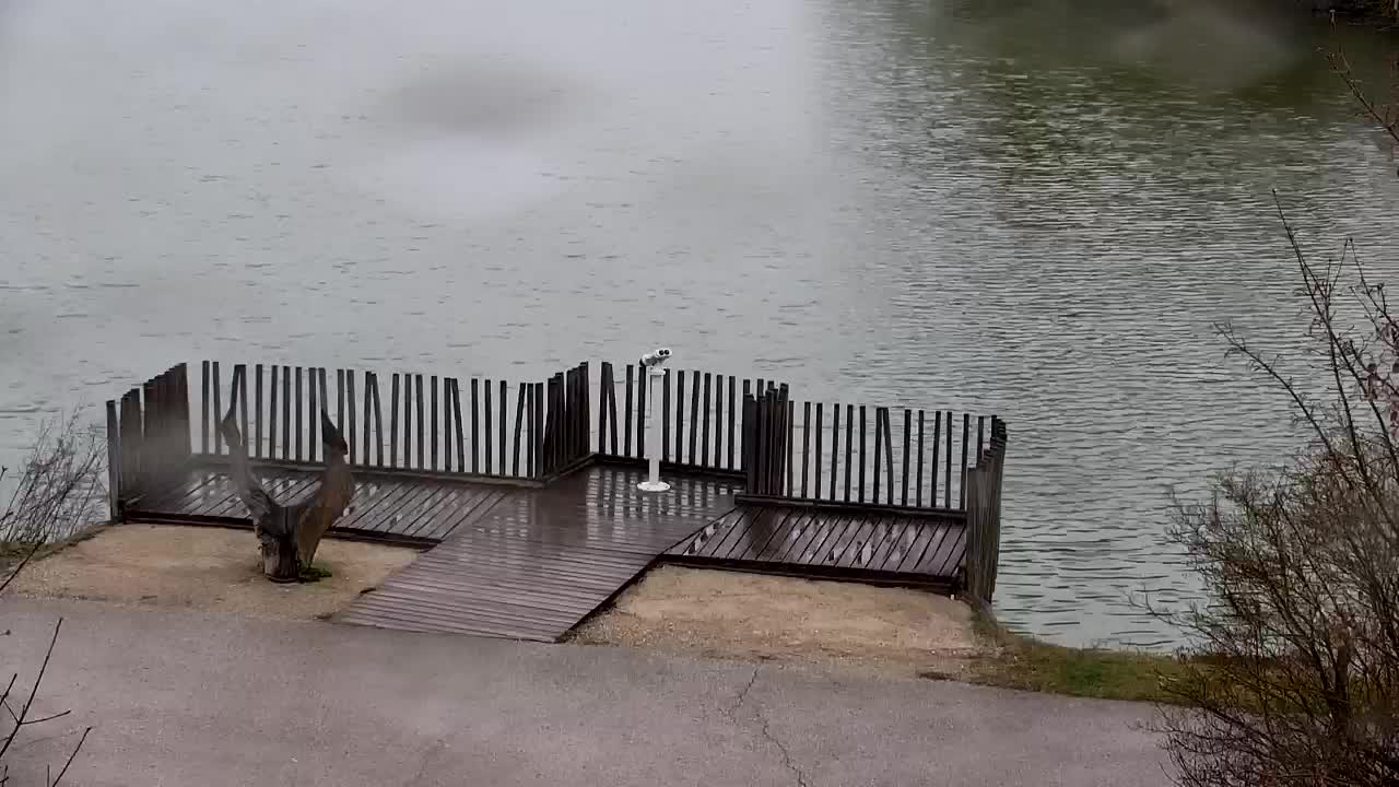 Spletna kamera Ribnik Vrbje – Žalec