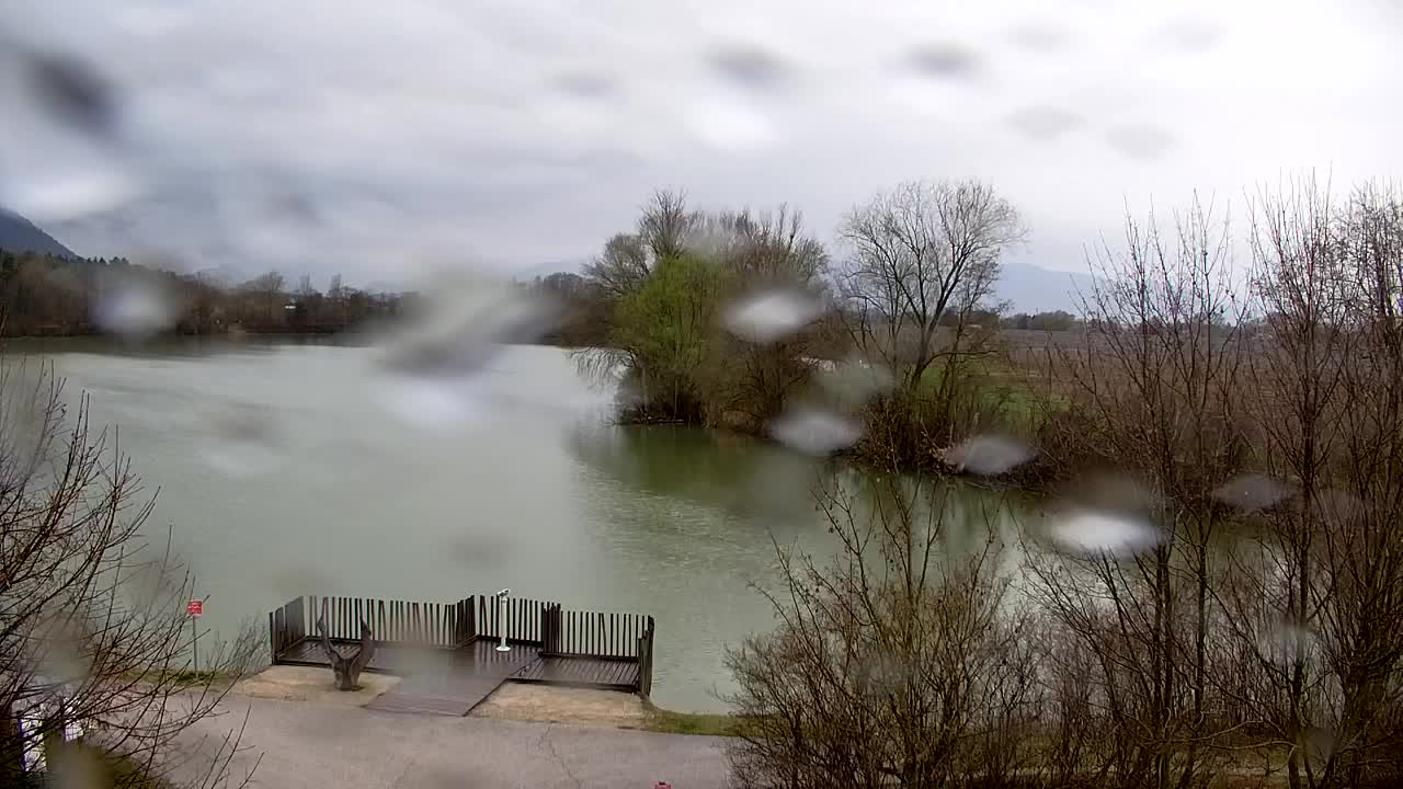 Webcam Ribnik Vrbje – Žalec