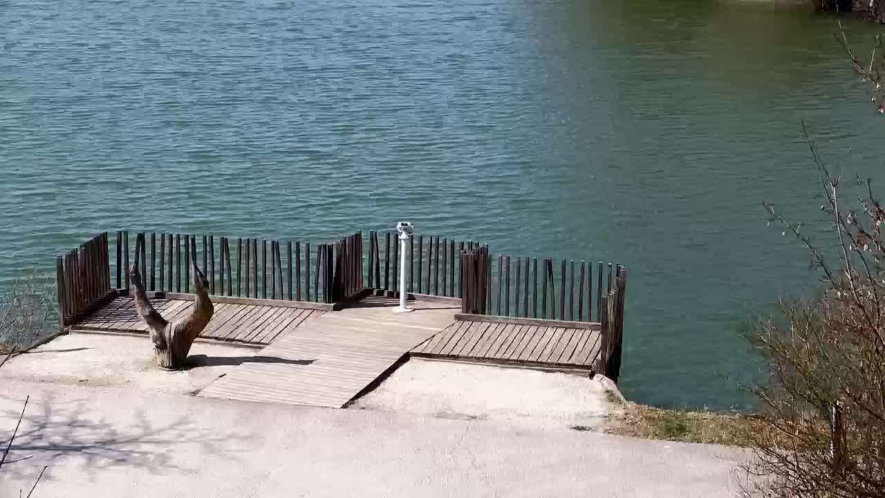 Webcam Ribnik Vrbje – Žalec