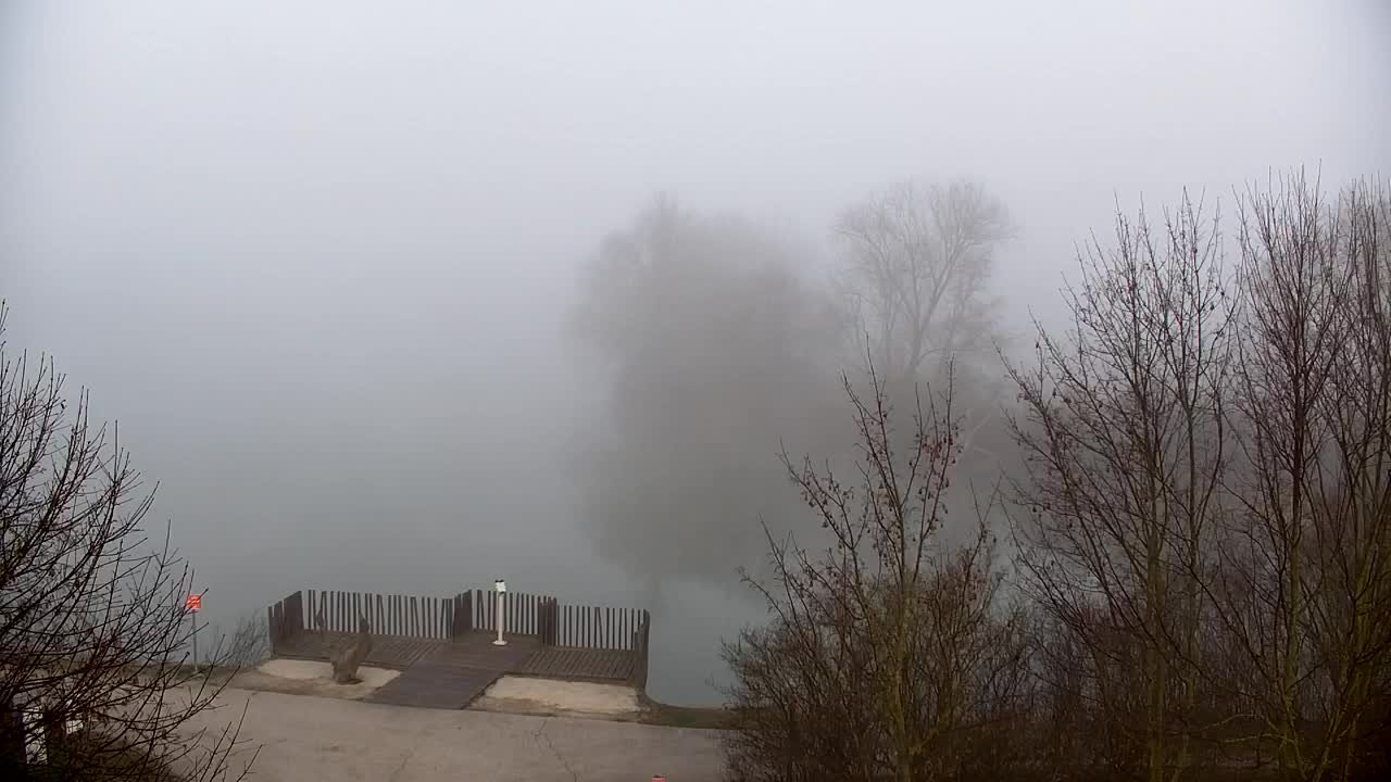 Webcam Ribnik Vrbje – Žalec