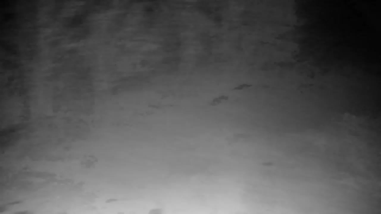 Webcam Ribnik Vrbje – Žalec