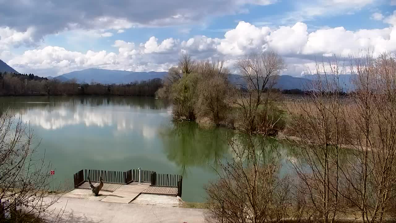 Web kamera Ribnik Vrbje – Žalec