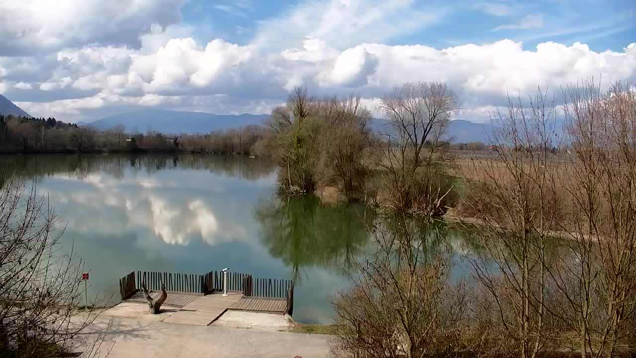 Webcam Ribnik Vrbje – Žalec