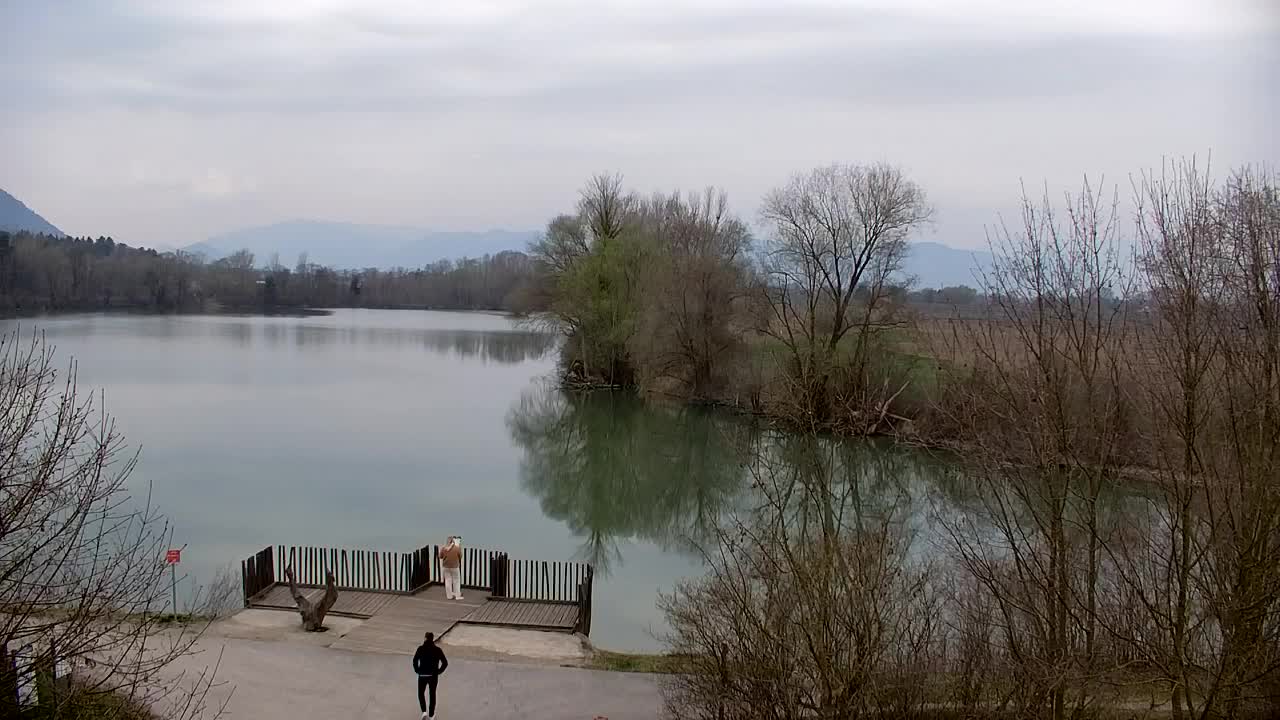 Webcam Ribnik Vrbje – Žalec