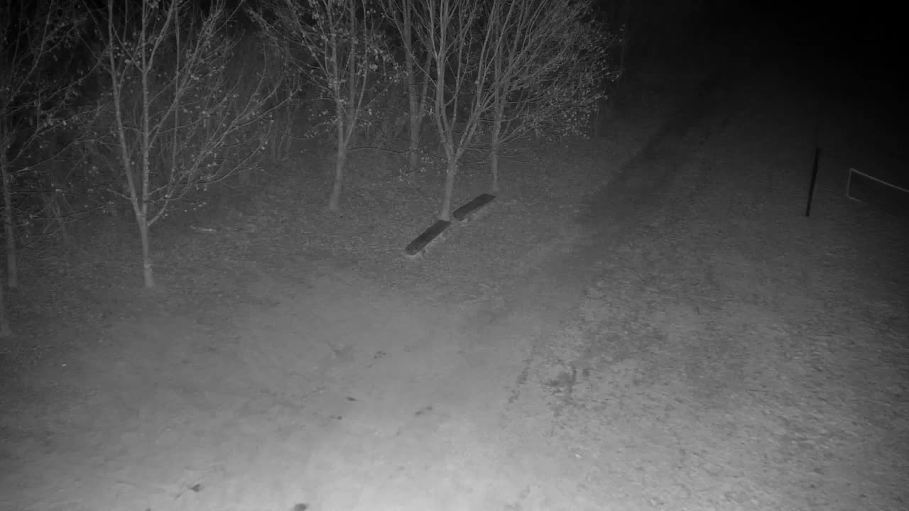 Webcam Ribnik Vrbje – Žalec