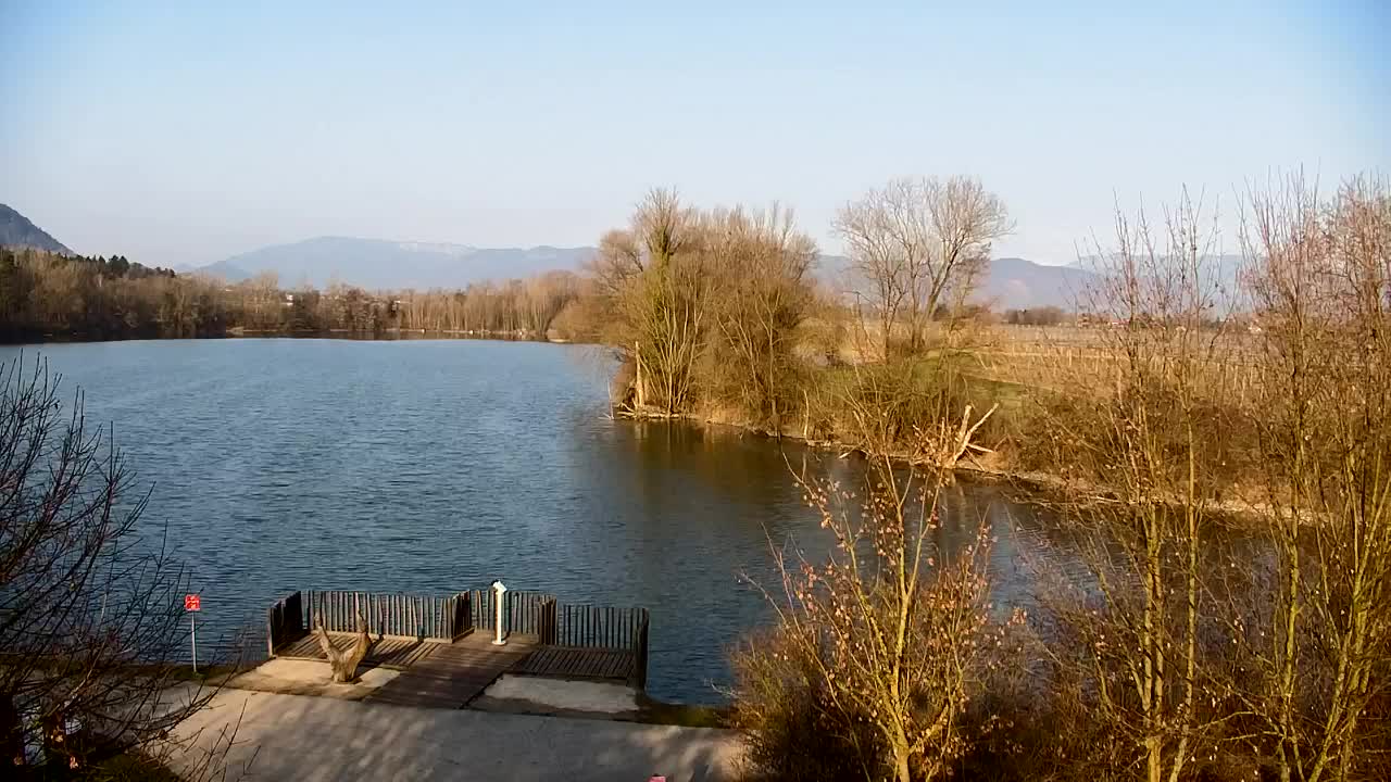 Webcam Ribnik Vrbje – Žalec