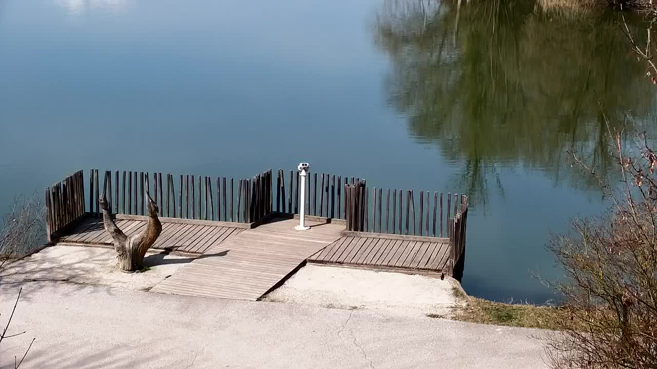 Webcam Ribnik Vrbje – Žalec