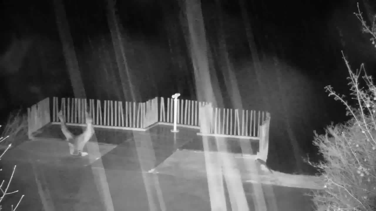 Spletna kamera Ribnik Vrbje – Žalec