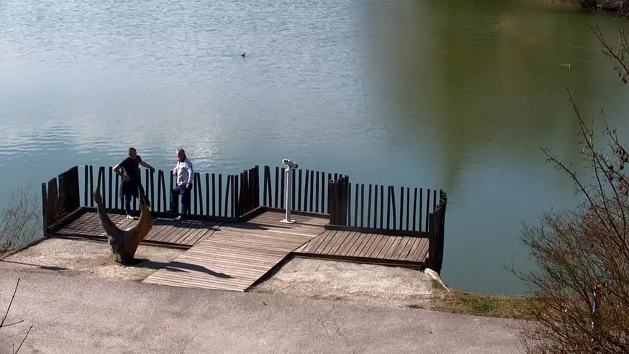 Spletna kamera Ribnik Vrbje – Žalec