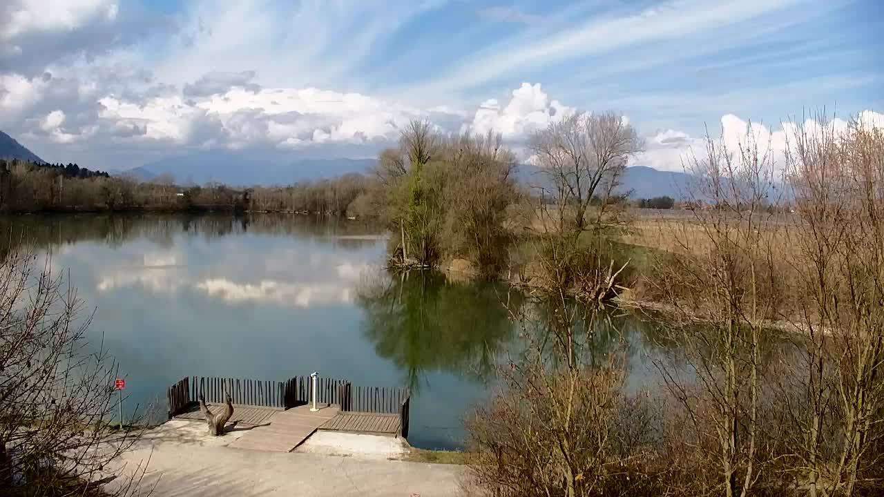 Webcam Ribnik Vrbje – Žalec