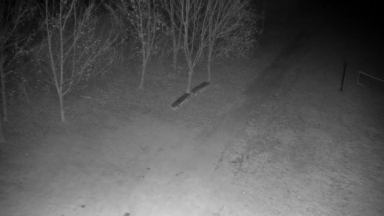 Webcam Ribnik Vrbje – Žalec