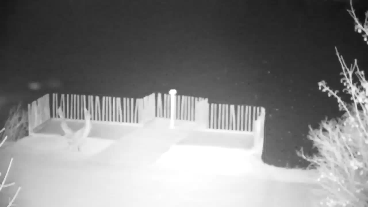 Webcam Ribnik Vrbje – Žalec