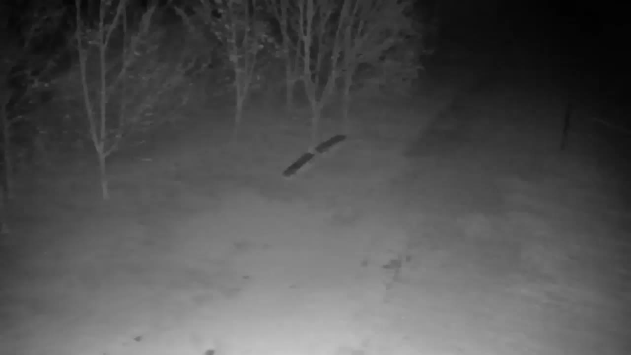 Webcam Ribnik Vrbje – Žalec