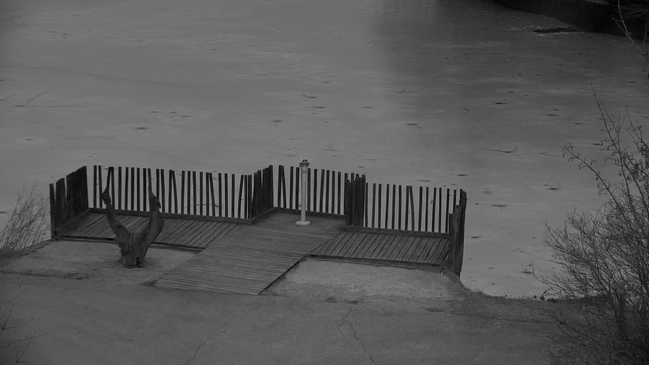 Webcam Ribnik Vrbje – Žalec