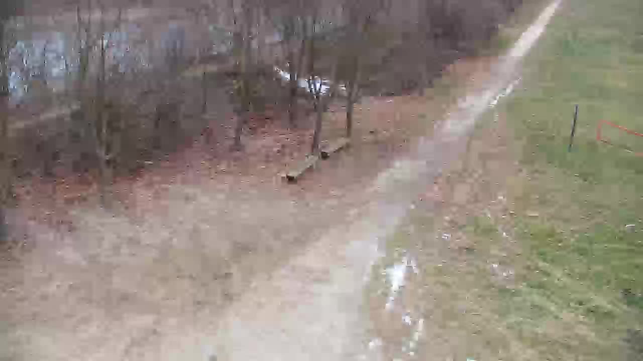 Spletna kamera Ribnik Vrbje – Žalec