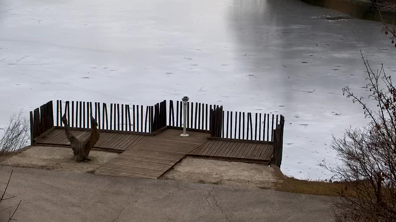 Spletna kamera Ribnik Vrbje – Žalec