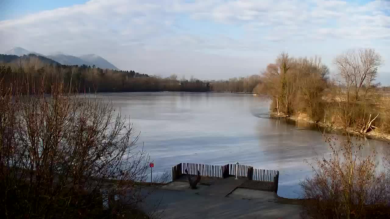 Spletna kamera Ribnik Vrbje – Žalec