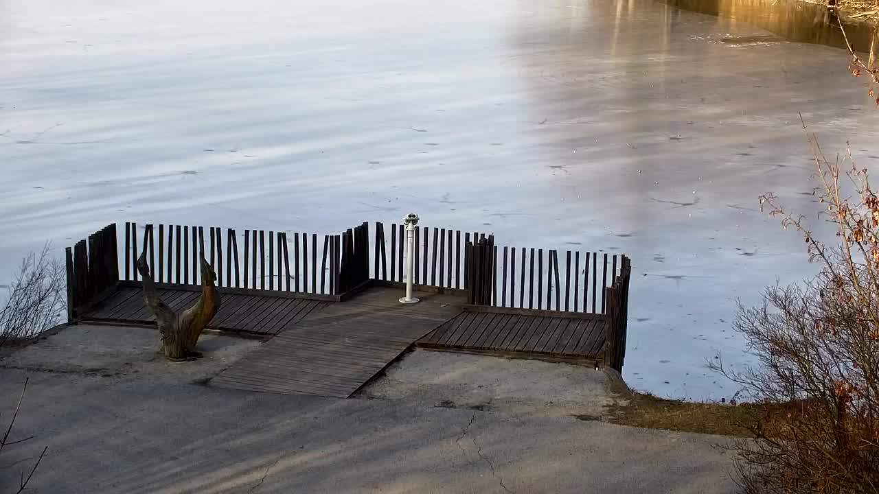 Webcam Ribnik Vrbje – Žalec