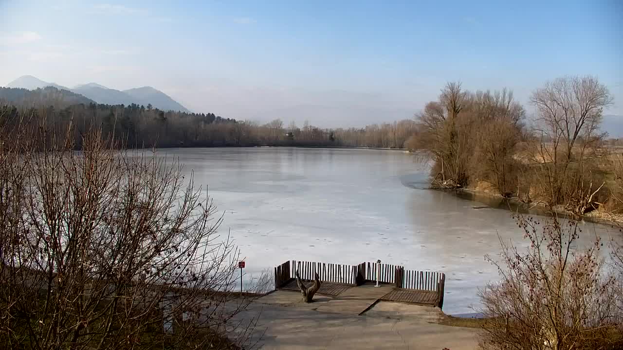 Webcam Ribnik Vrbje – Žalec