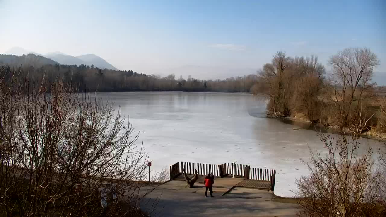 Webcam Ribnik Vrbje – Žalec