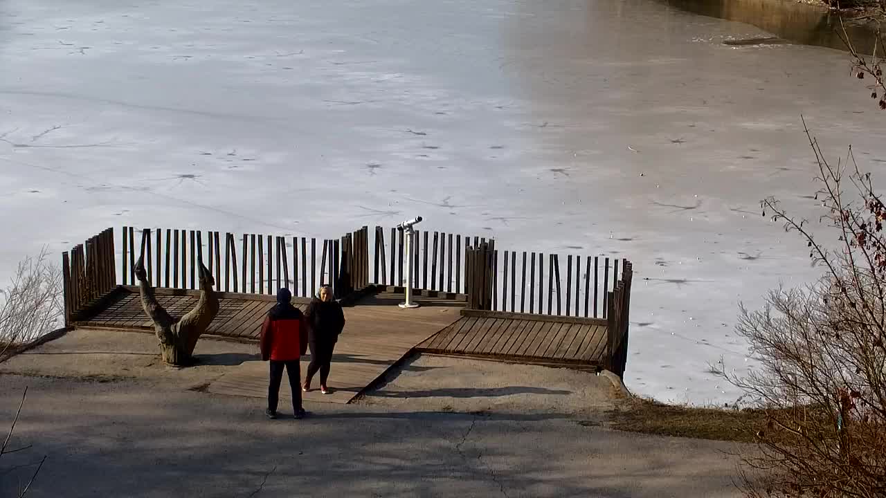 Web kamera Ribnik Vrbje – Žalec