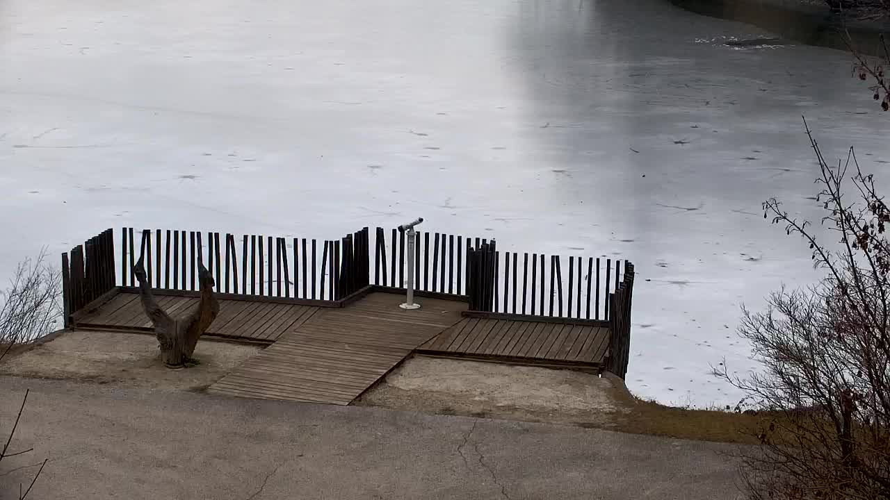 Webcam Ribnik Vrbje – Žalec