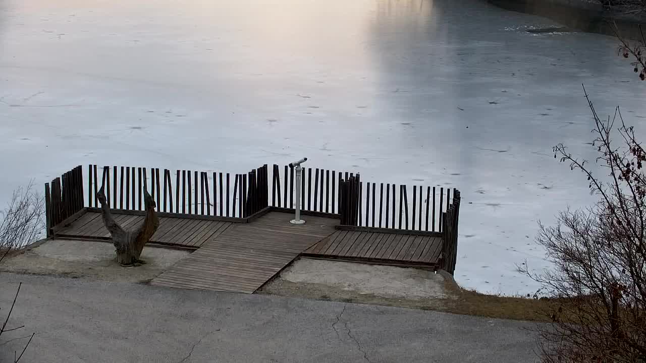 Webcam Ribnik Vrbje – Žalec